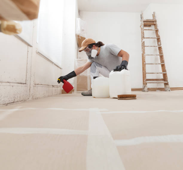 Best Crawl Space Mold Remediation  in Mpo, CA