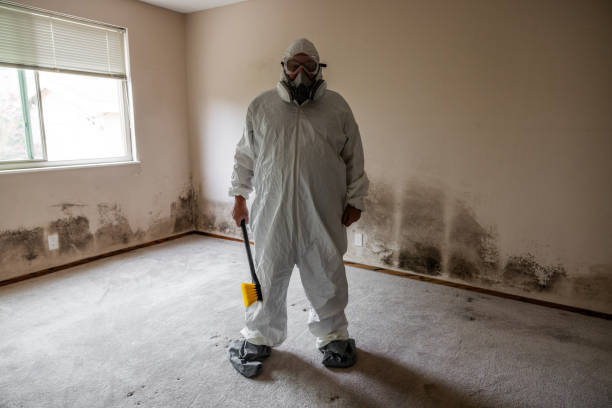 Mold Remediation for Vacation Homes in Campo, CA